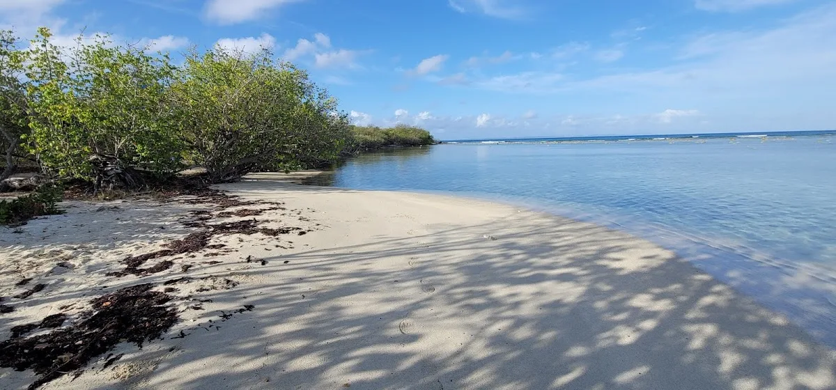 Playa Dátiles in Culebra, Puerto Rico - scenic beach view
