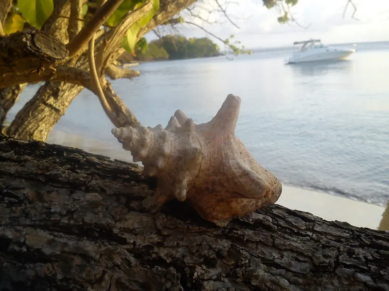 Playa De Cascajo, Culebra