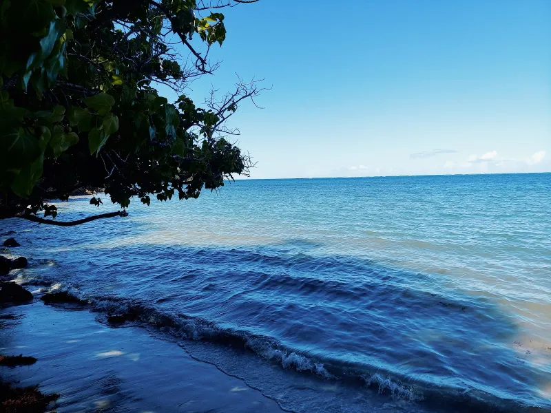 Playa de Fajardo, Fajardo