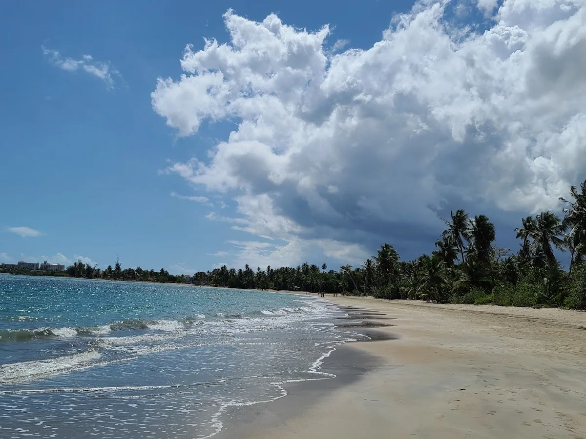 Playa De Sardinera in Dorado, Puerto Rico - scenic beach view