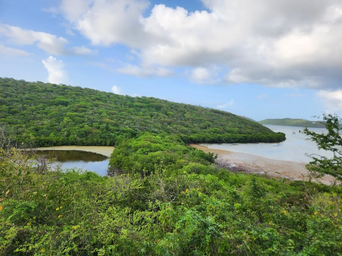 Playa Dienero in Culebra, Puerto Rico - scenic beach view