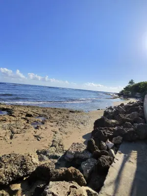 Playa Dorado Del Mar Beach