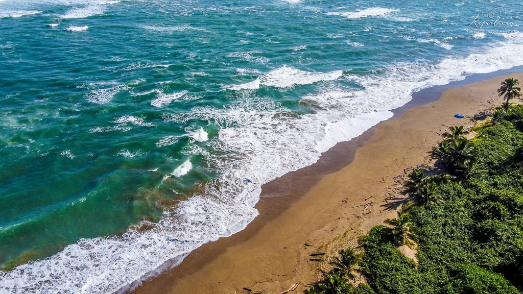 Playa El Único in Dorado, Puerto Rico - scenic beach view