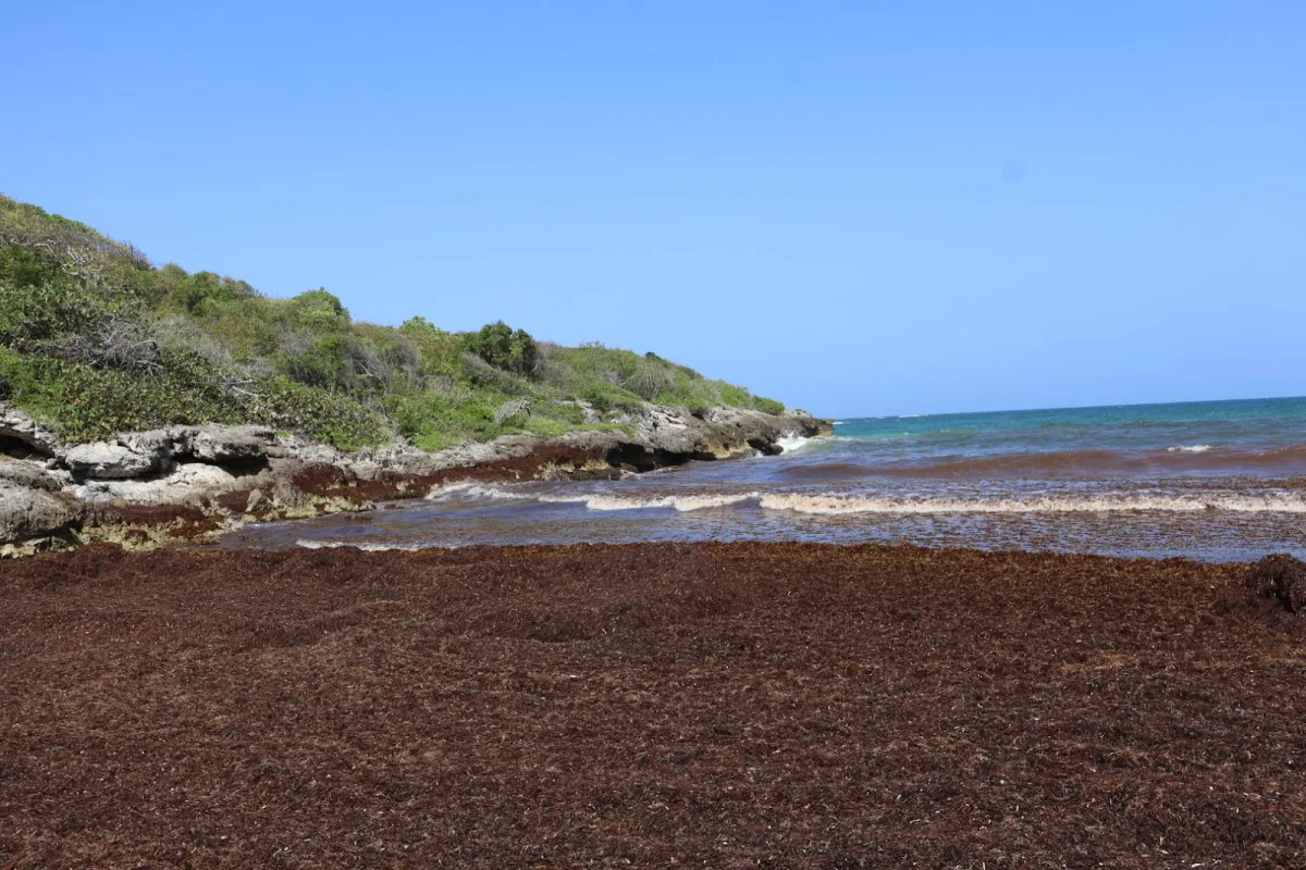 Playa Escondida in Vieques, Puerto Rico - scenic beach view