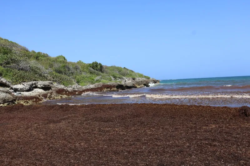 Playa Escondida