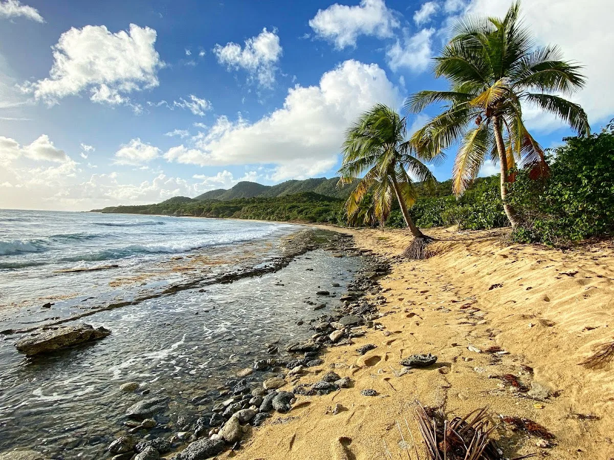 Playa Grande in Vieques, Puerto Rico - scenic beach view
