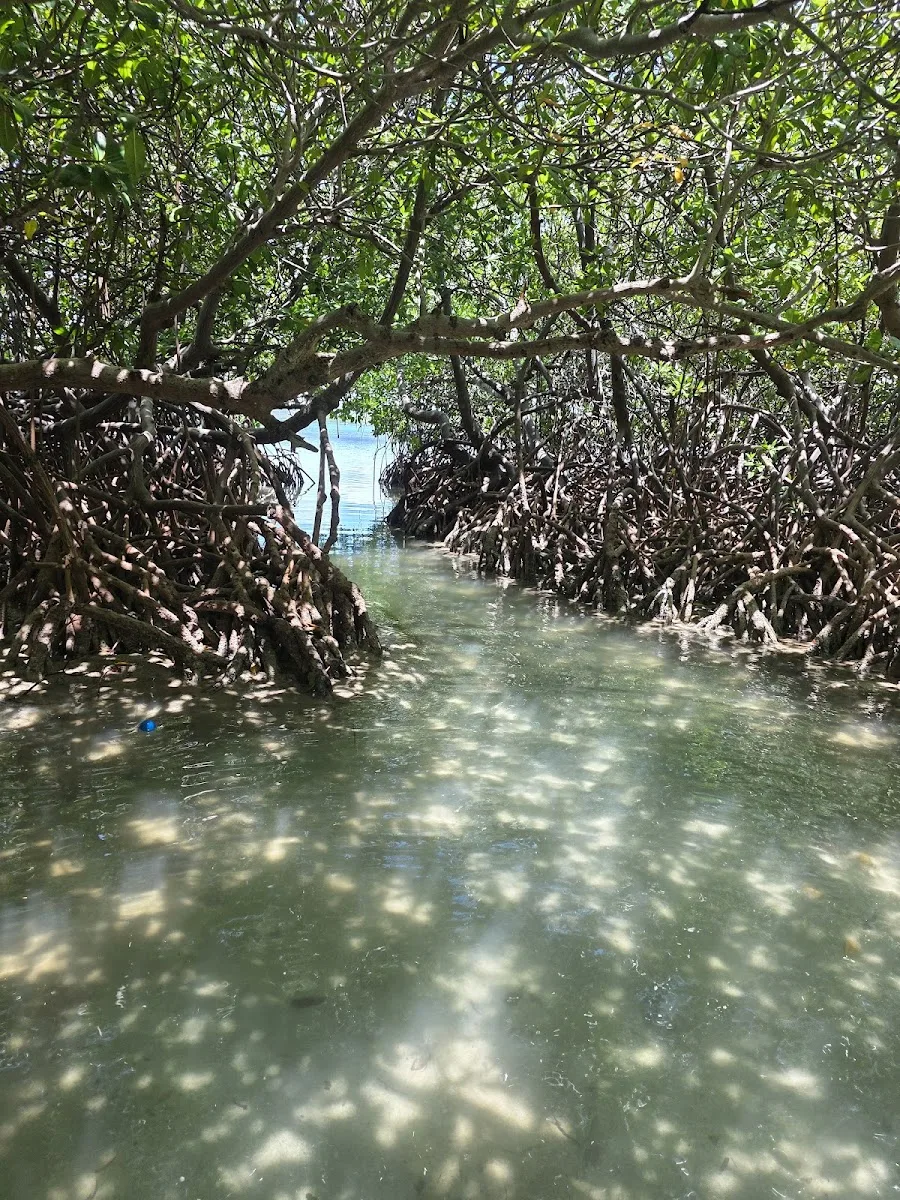 Playa La Jungla in Guanica, Puerto Rico - scenic beach view