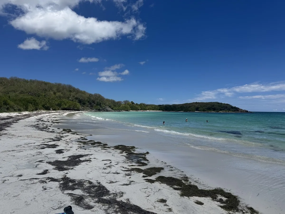 Playa La Plata in Vieques, Puerto Rico - scenic beach view
