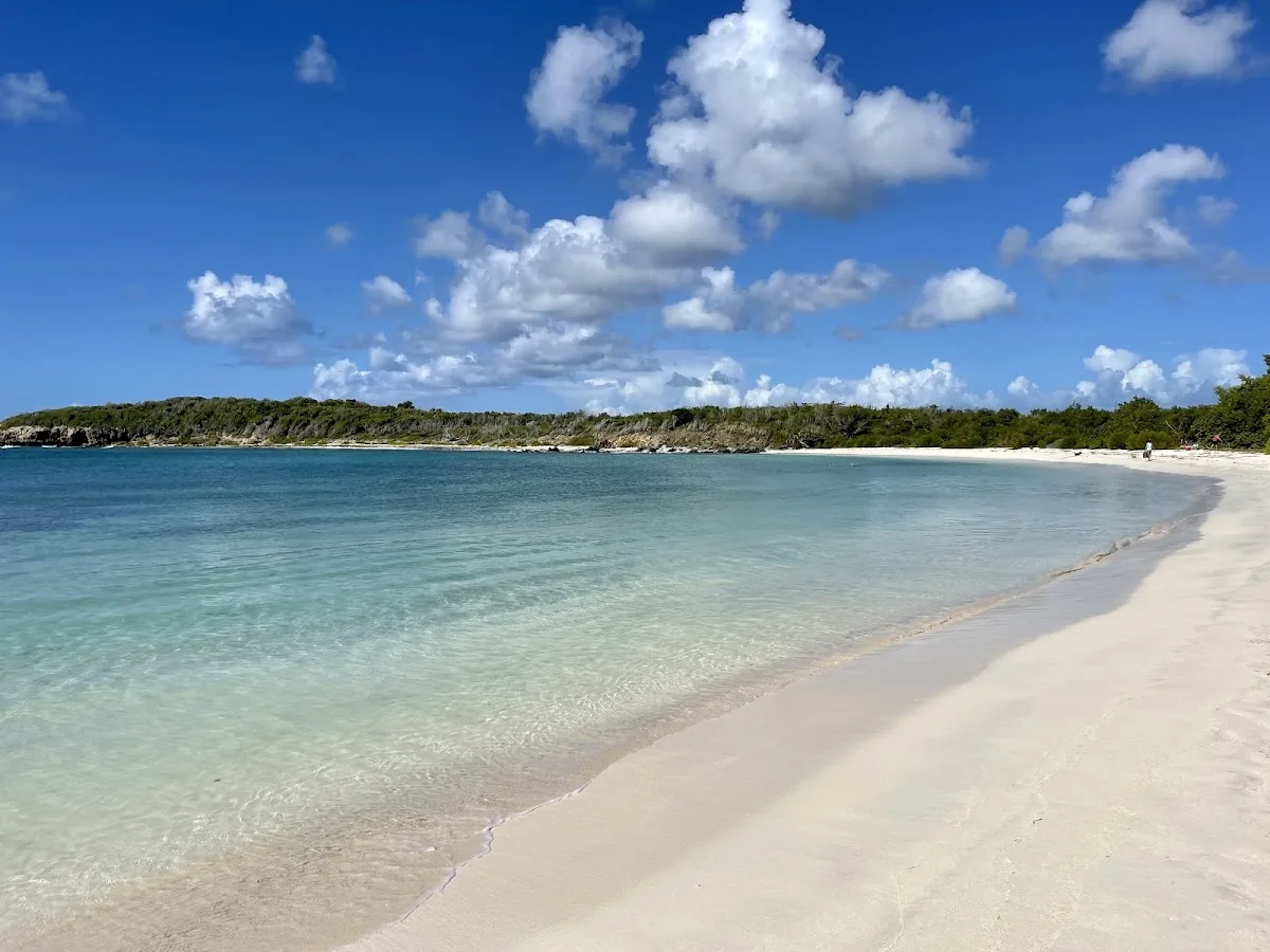 Playa Pata Prieta in Vieques, Puerto Rico - scenic beach view