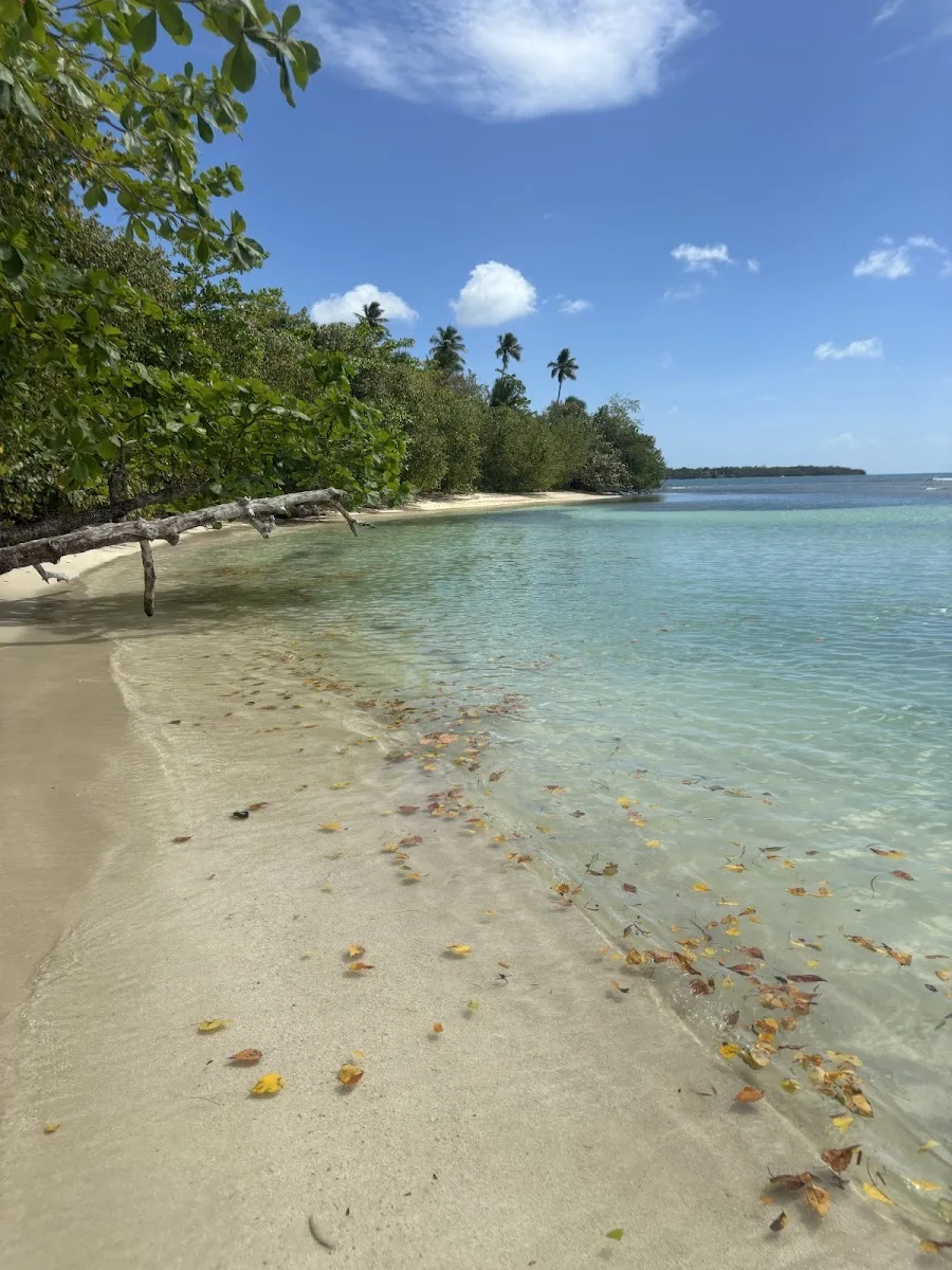 Playa Punta Boca in Cabo Rojo, Puerto Rico - scenic beach view