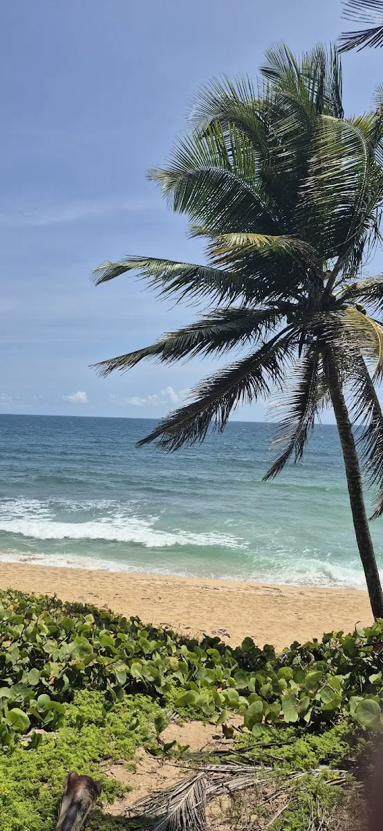 Playa Punta Caracoles in Arecibo, Puerto Rico - scenic beach view