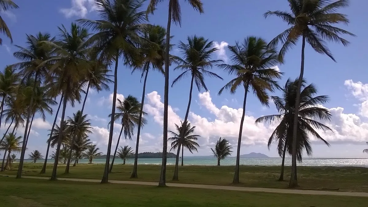 Playa Punta Santiago Punta in Humacao, Puerto Rico - scenic beach view