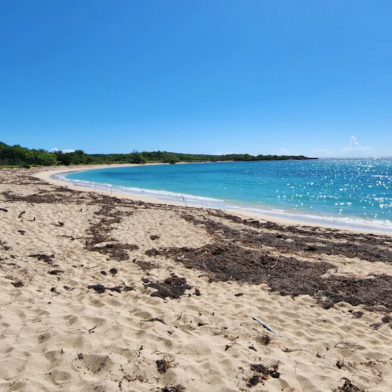 Playa Tamarindo