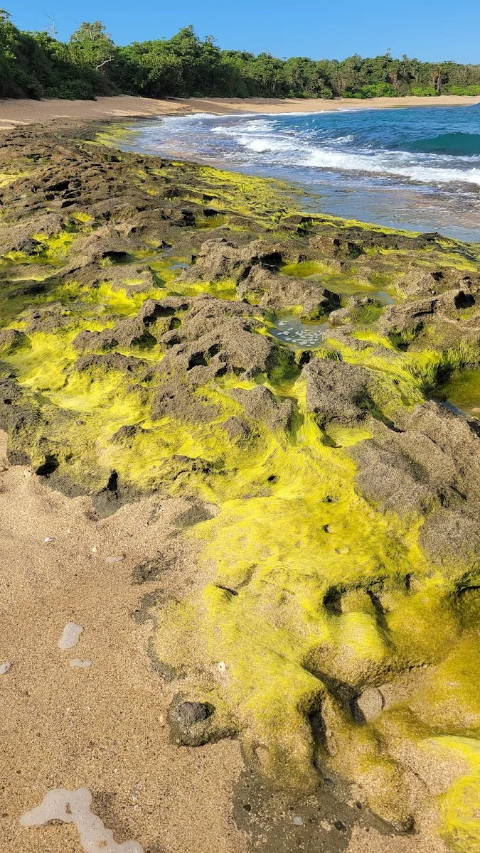 Playa Tombolo y and Playa Esperanza in Manati, Puerto Rico - scenic beach view