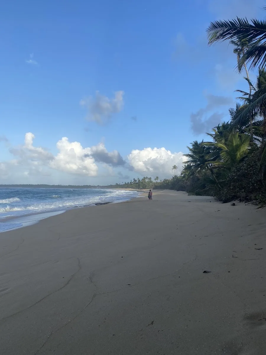 Playa Tortuguero in Manati, Puerto Rico - scenic beach view