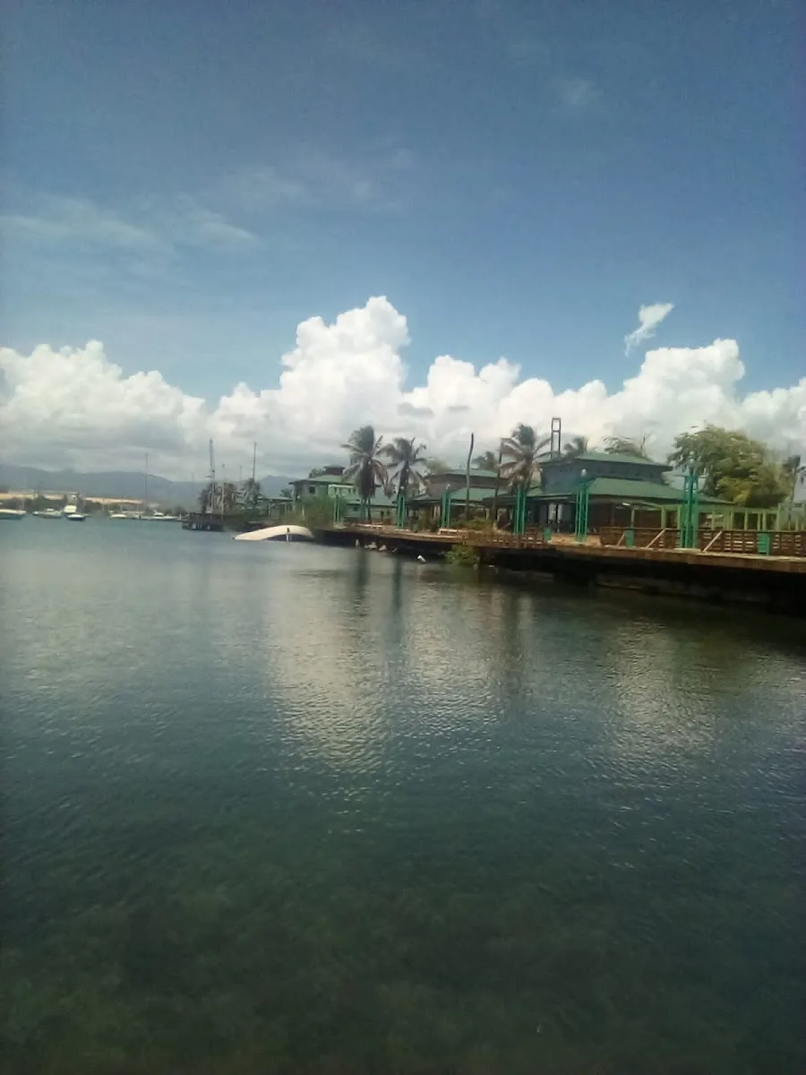 Playa in Isabela, Puerto Rico - scenic beach view