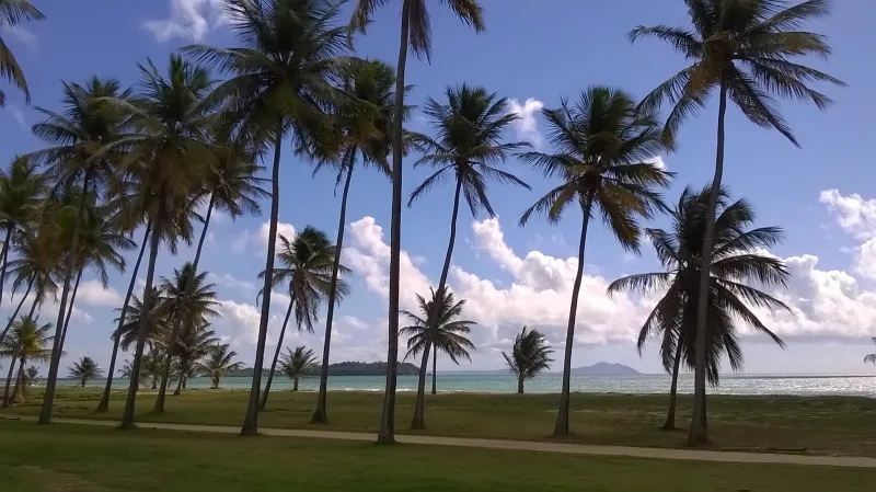 Puerto de Humacao, Humacao