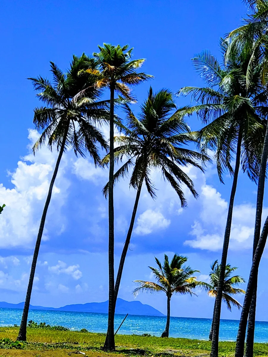 Punta Santiago Beach in Humacao, Puerto Rico - scenic beach view