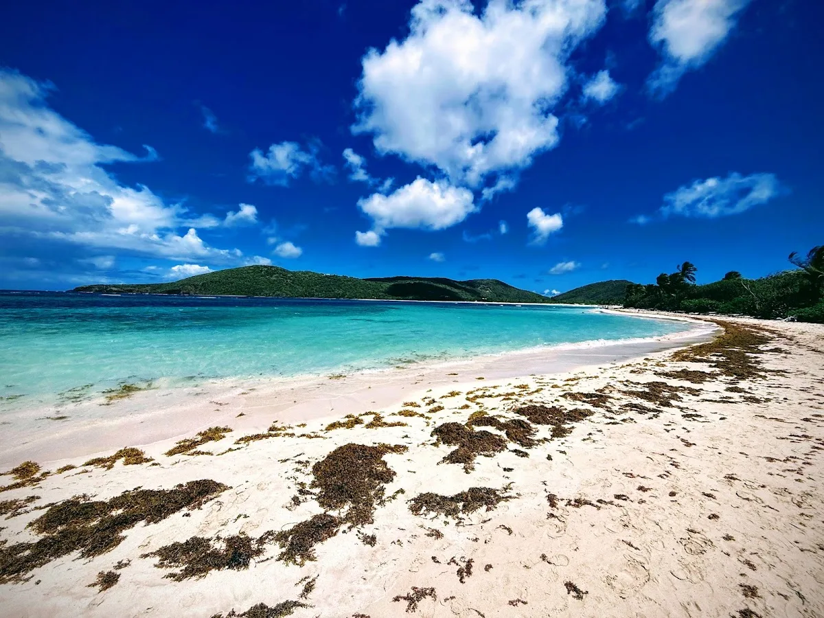 Reserva Natural de Culebra / Culebra Natural Reserve in Culebra, Puerto Rico - scenic beach view