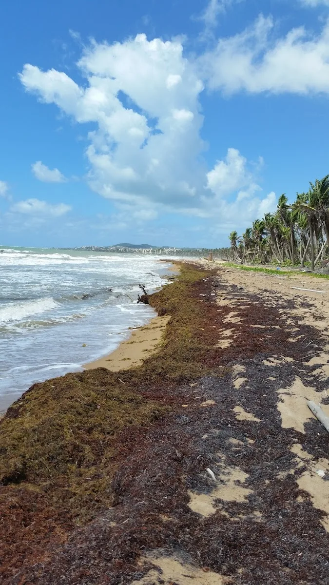 Secret Beach, Humacao in Humacao, Puerto Rico - scenic beach view