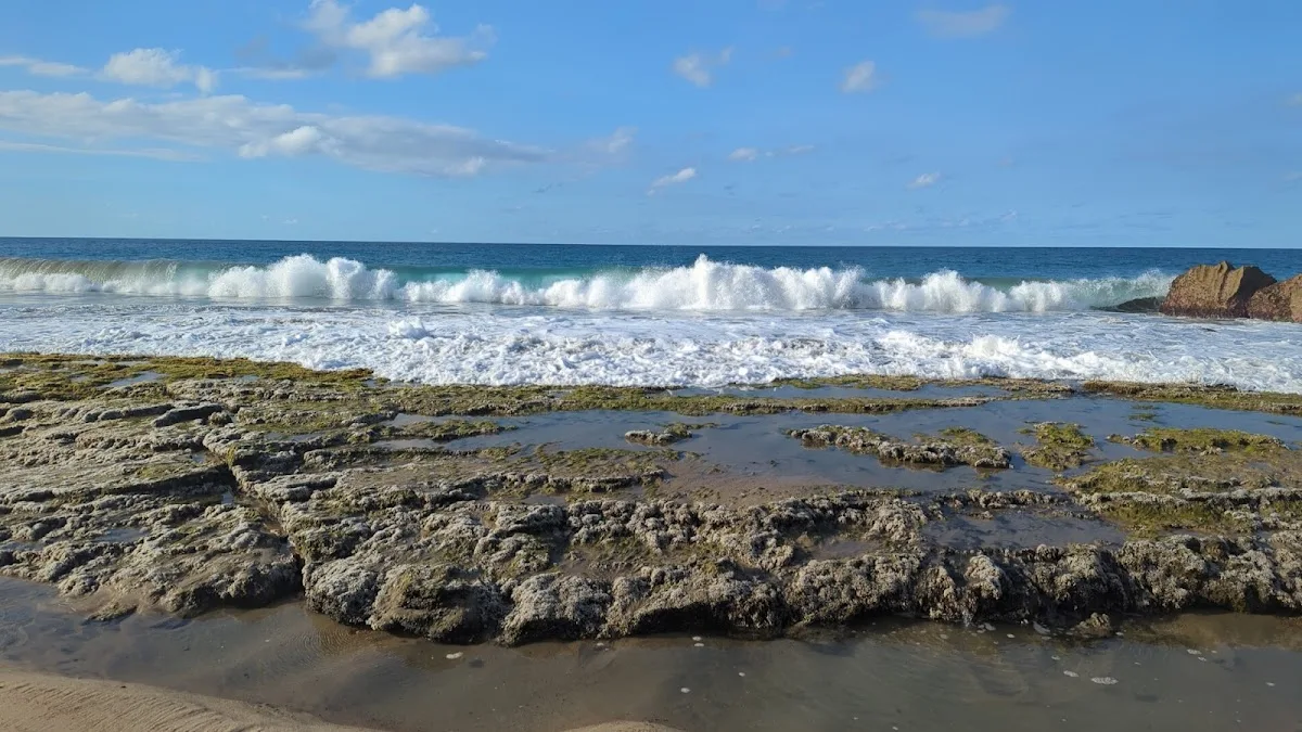 Stoner Beach in Arecibo, Puerto Rico - scenic beach view