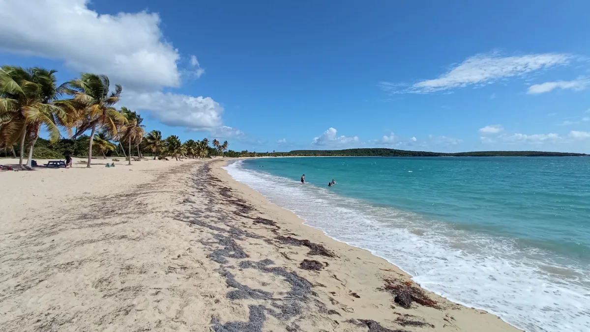 Sun Bay in Vieques, Puerto Rico - scenic beach view