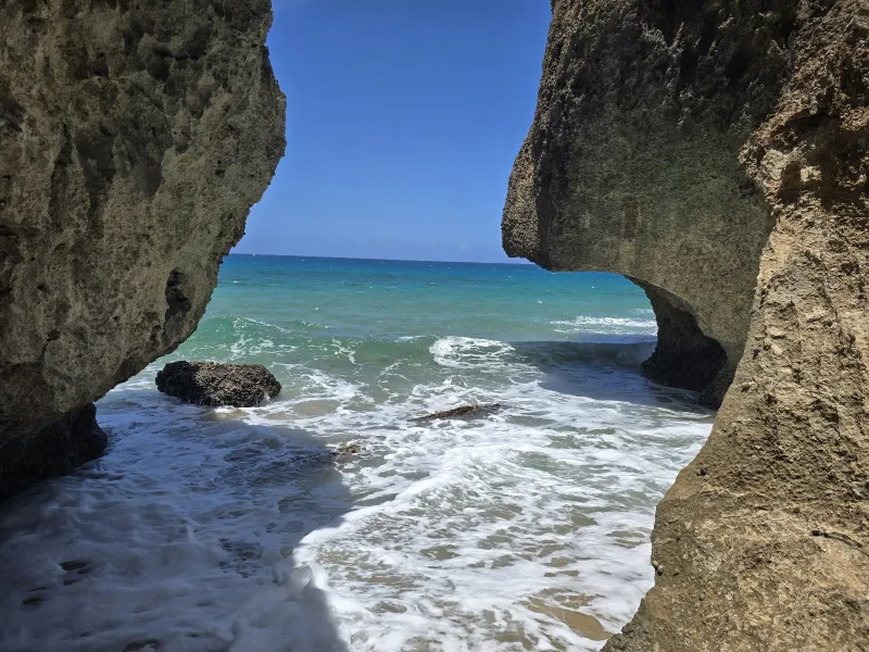 Survival / Playuela, Aguadilla