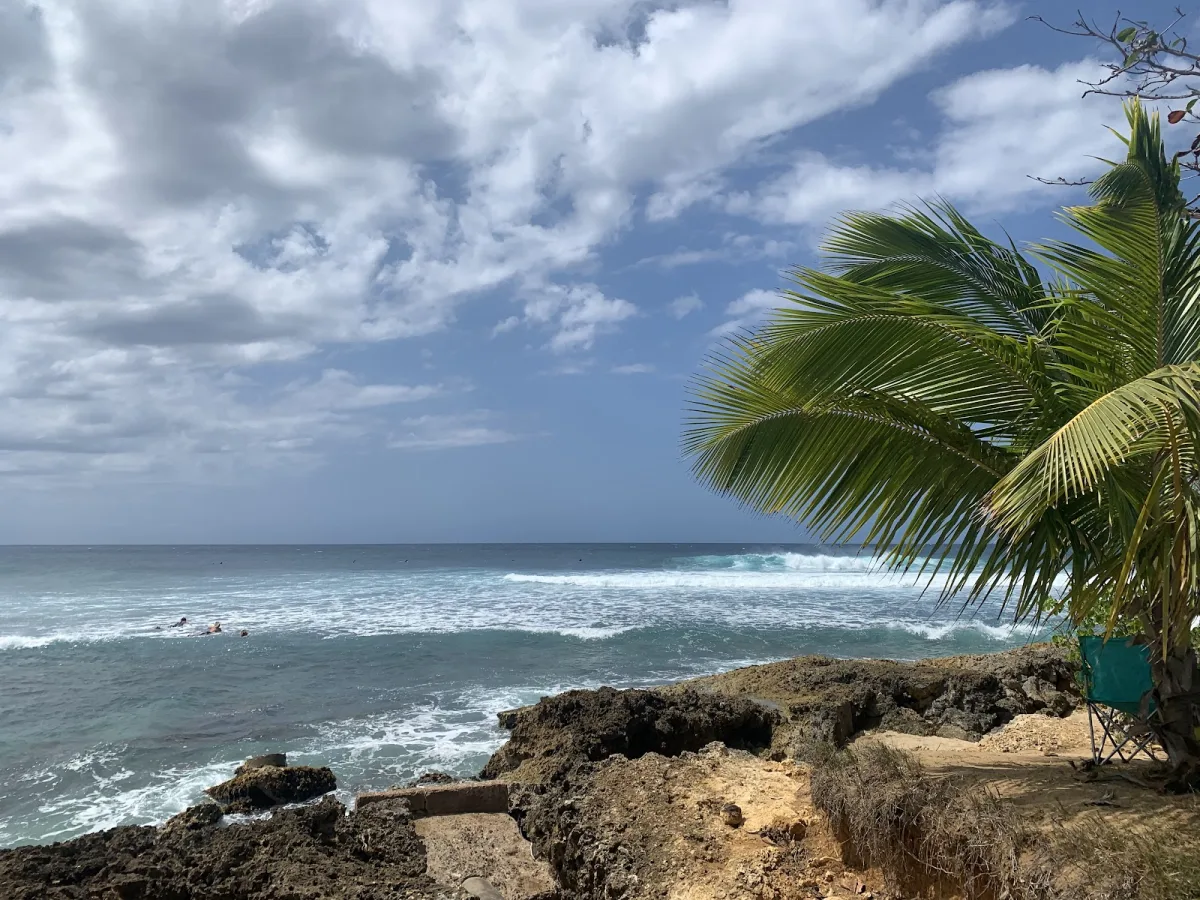 Wilderness in Aguadilla, Puerto Rico - scenic beach view